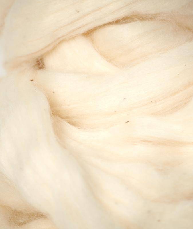 Ekruli Bebek Şortu - doashop