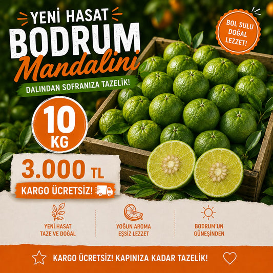 Bodrum Mandalini (10kg)
