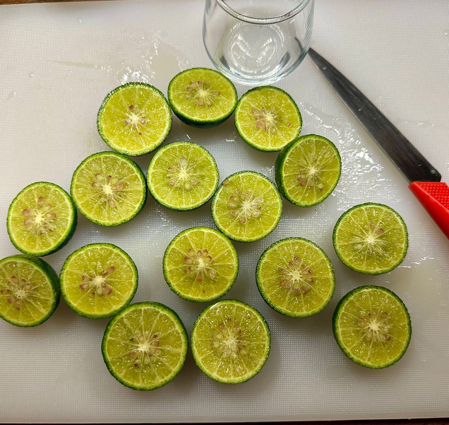 Bodrum Mandalini (6kg)